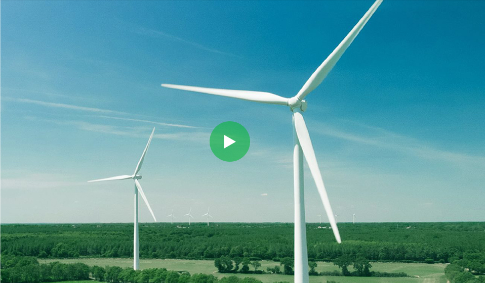 Pioneering Green Ammonia in Namibia