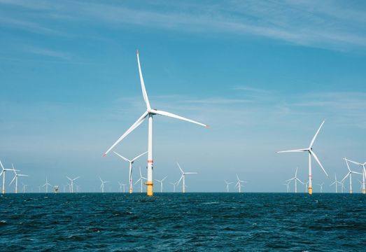KAPSOM Welcomes Norwegian Green Leaders