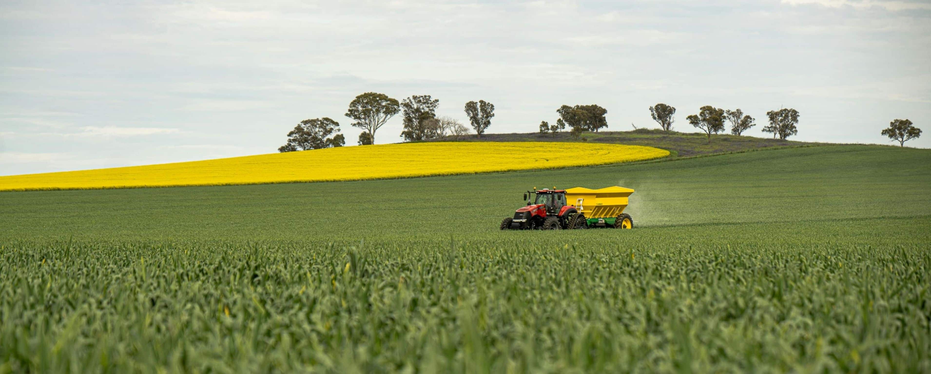 Green Ammonia