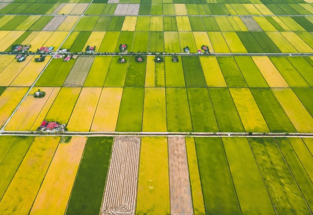 Revolutionizing Energy: Mini Green Ammonia