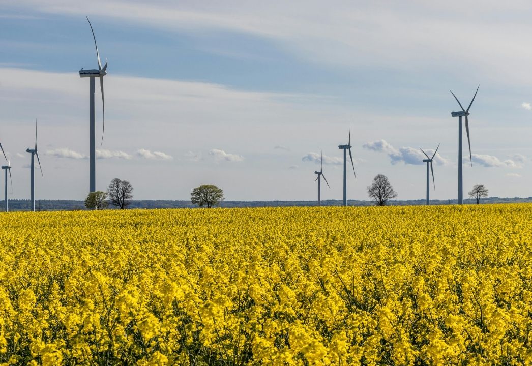 CCUS Technology Helps Carbon Emission Reduction