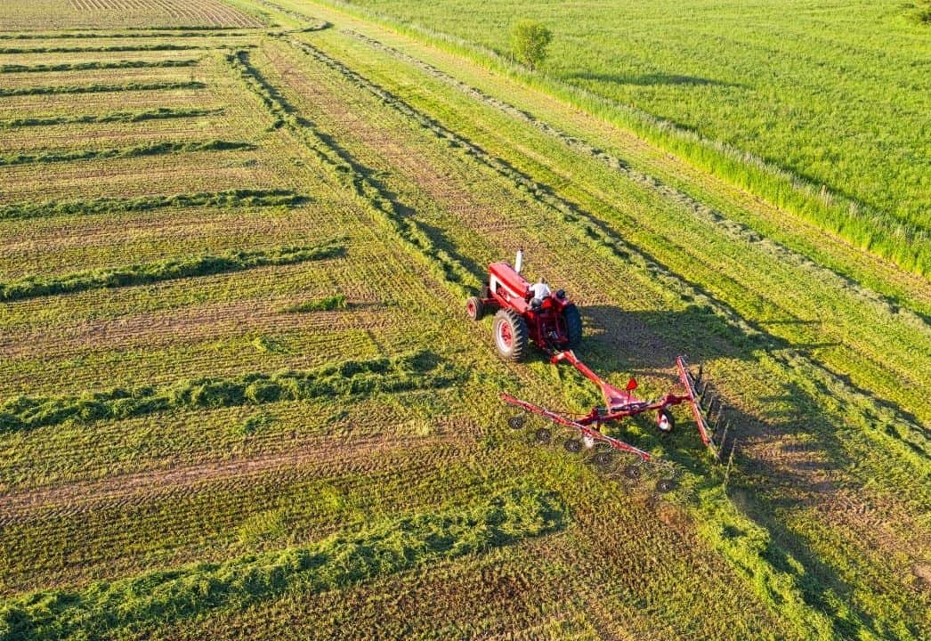 KAPSOM Awarded Sodium Sulfite Patent