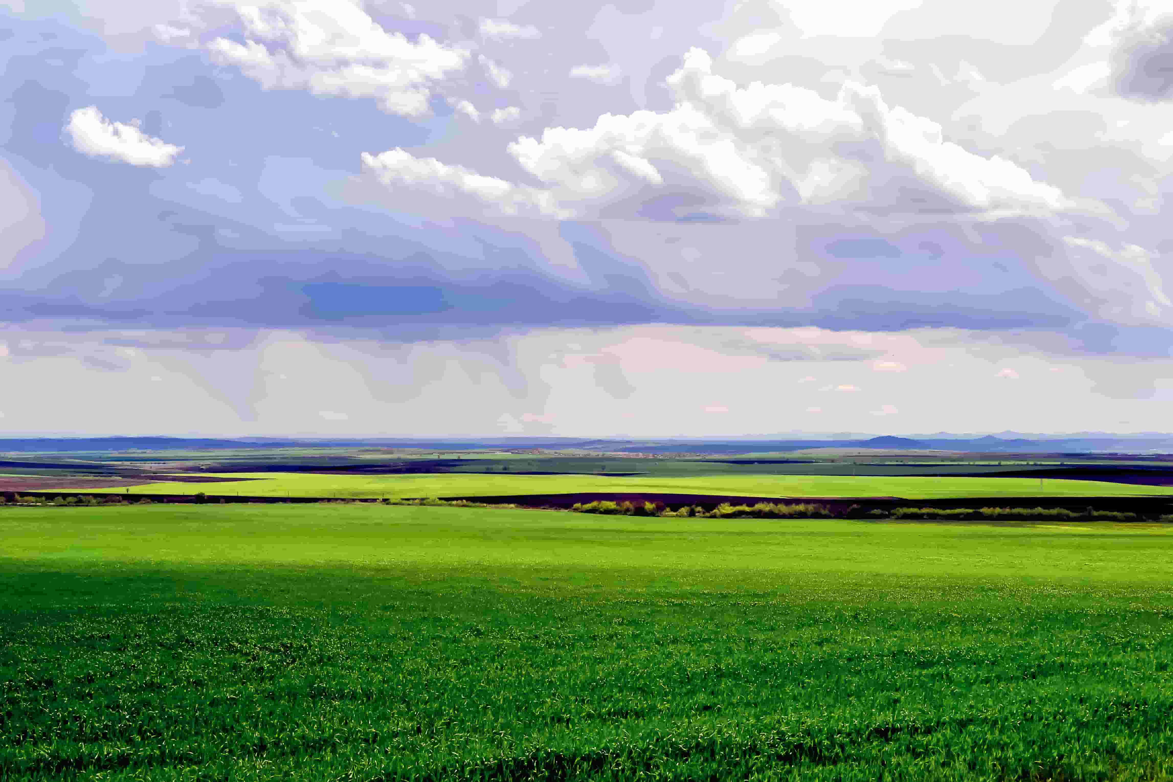 The First Green Ammonia Project  In South America