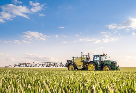 A Resilient Path in a Volatile Global Market