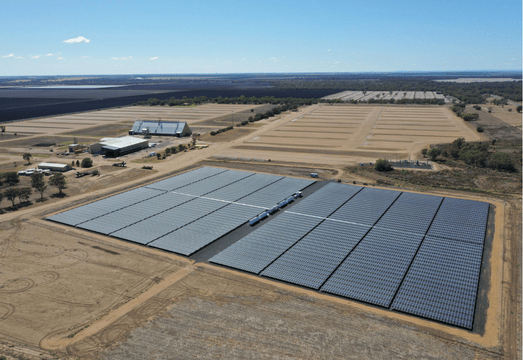 What Is Driving Green Ammonia Adoption Today?