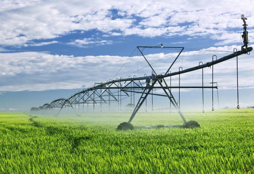 Brazil’s Small-Scale Green Ammonia Future